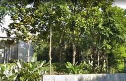 Bukit Timah Road (D10), Detached #546507671